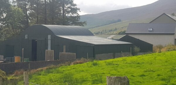 Painting Farm Sheds (14)