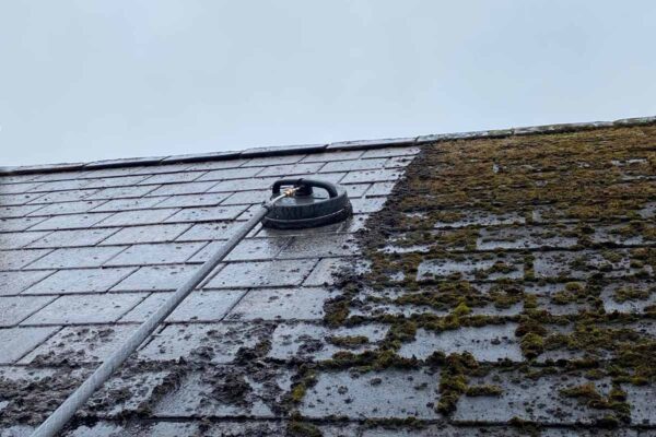 Roof Cleaning County Cork
