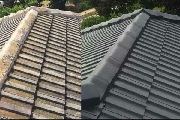 Roof Painters