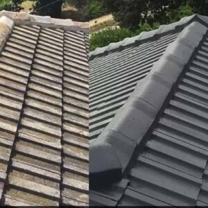 Roof Painting County Cork