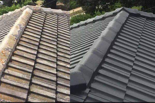 Roof Painting County Cork