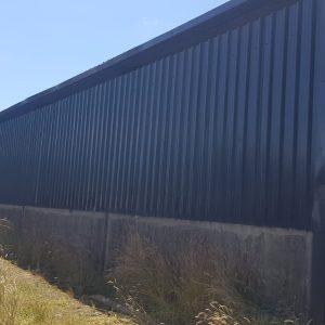 Farm Painting Tralee