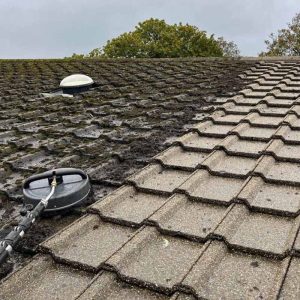 Roof Washing Lixnaw