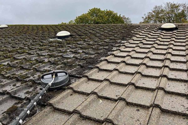 Roof Washing Lixnaw