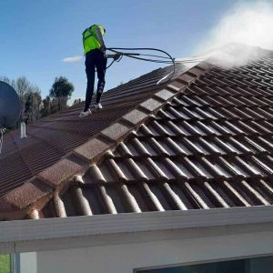 Roof Washing Milltown